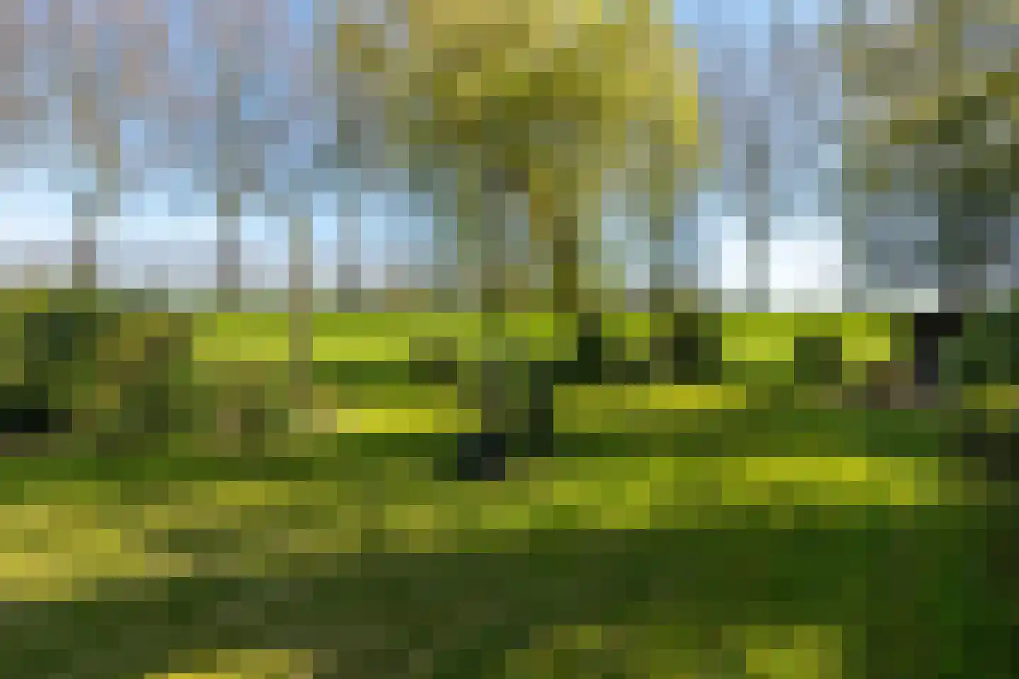 Rondeweg 2 's-Hertogenbosch thumbnail 21