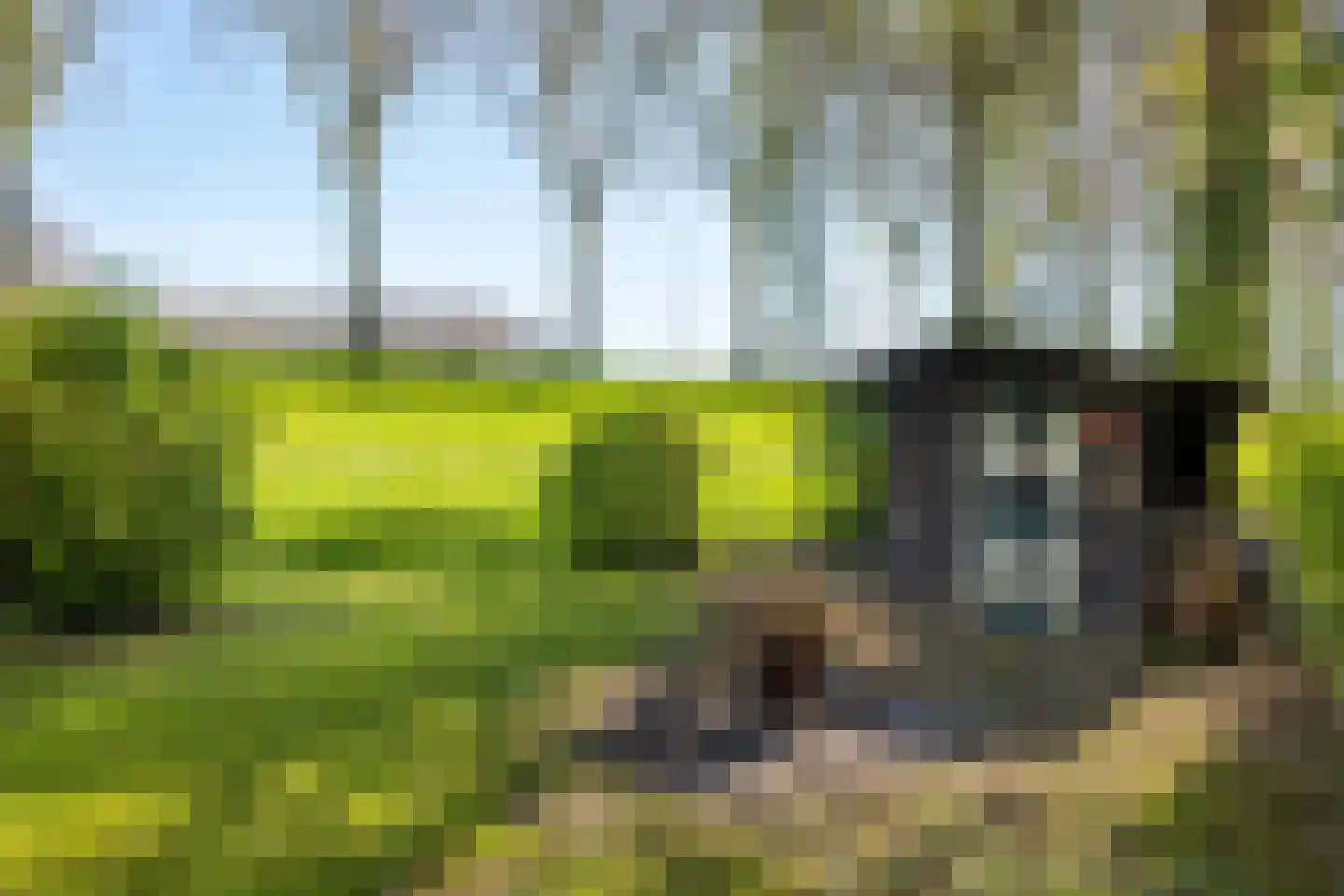 Rondeweg 2 's-Hertogenbosch thumbnail 22