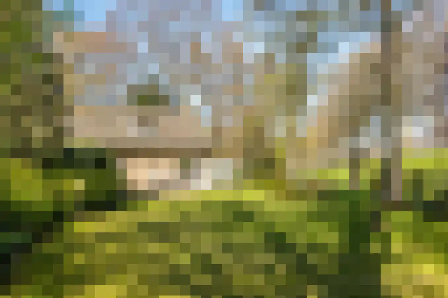 Rondeweg 2 's-Hertogenbosch thumbnail 24