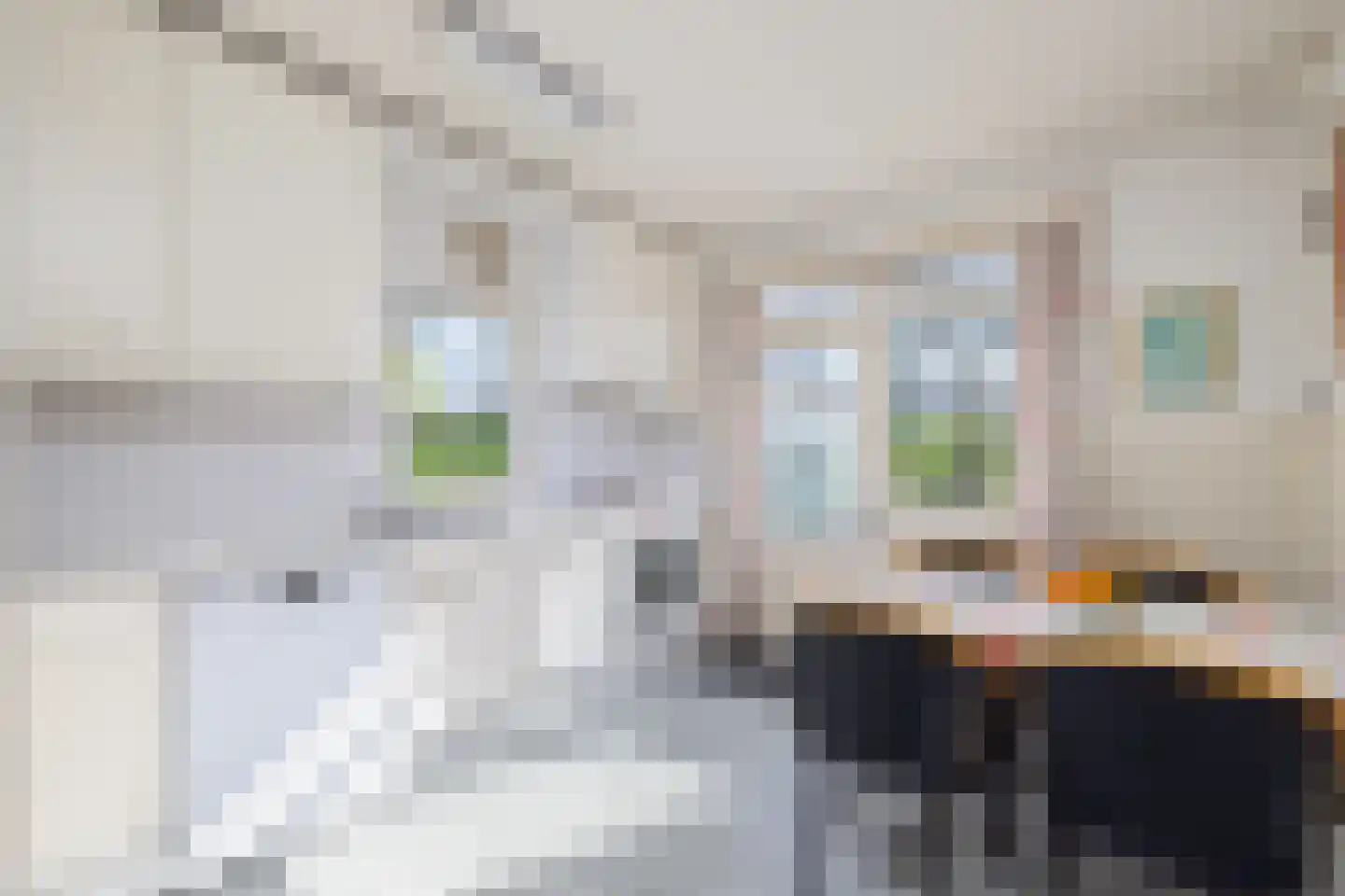 Rondeweg 2 's-Hertogenbosch thumbnail 29