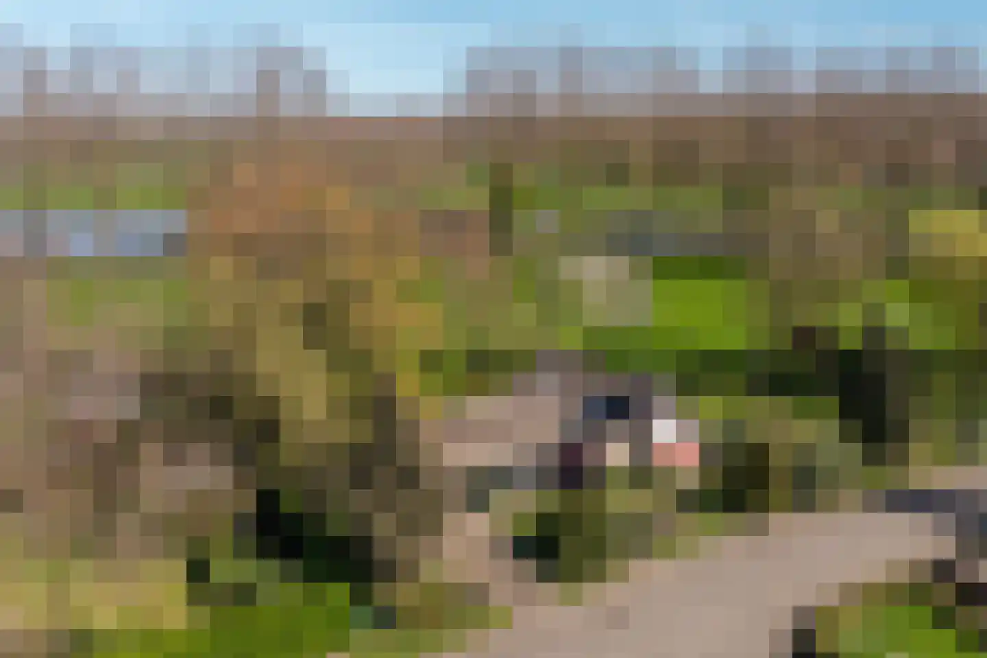 Rondeweg 2 's-Hertogenbosch thumbnail 37