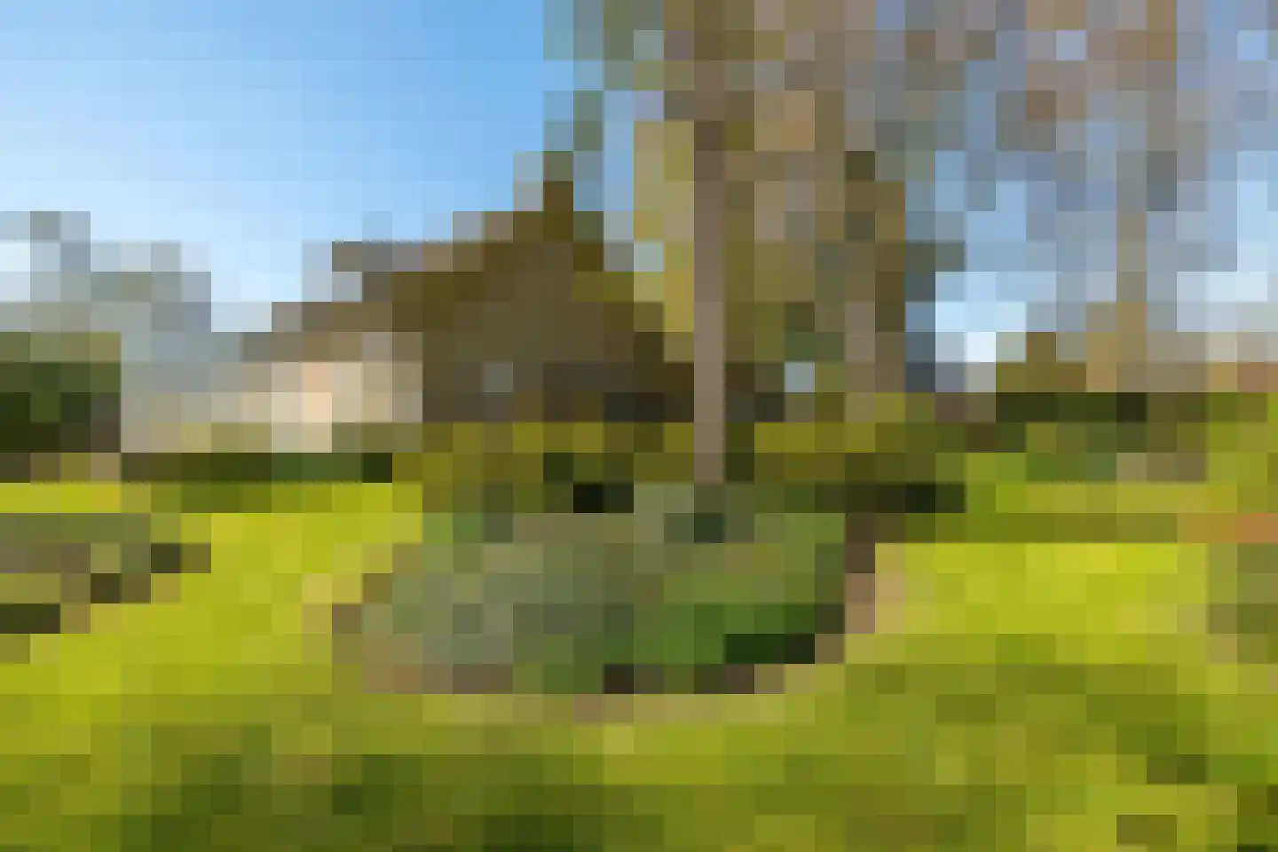 Rondeweg 2 's-Hertogenbosch thumbnail 46