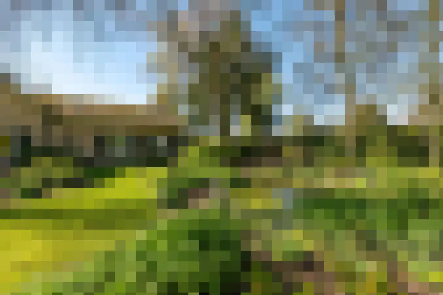 Rondeweg 2 's-Hertogenbosch thumbnail 48