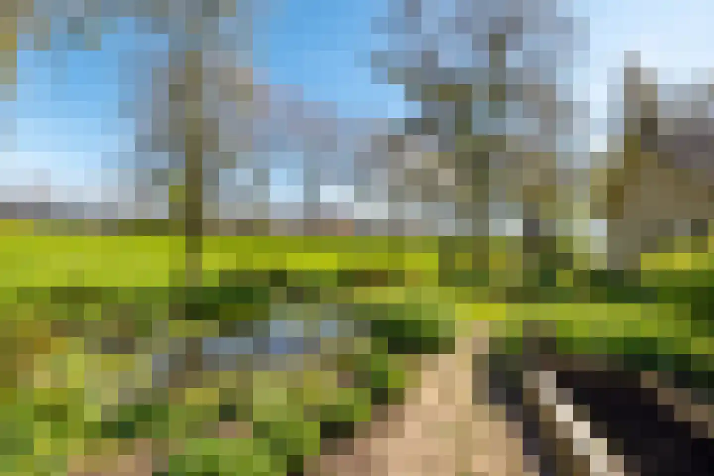 Rondeweg 2 's-Hertogenbosch thumbnail 49