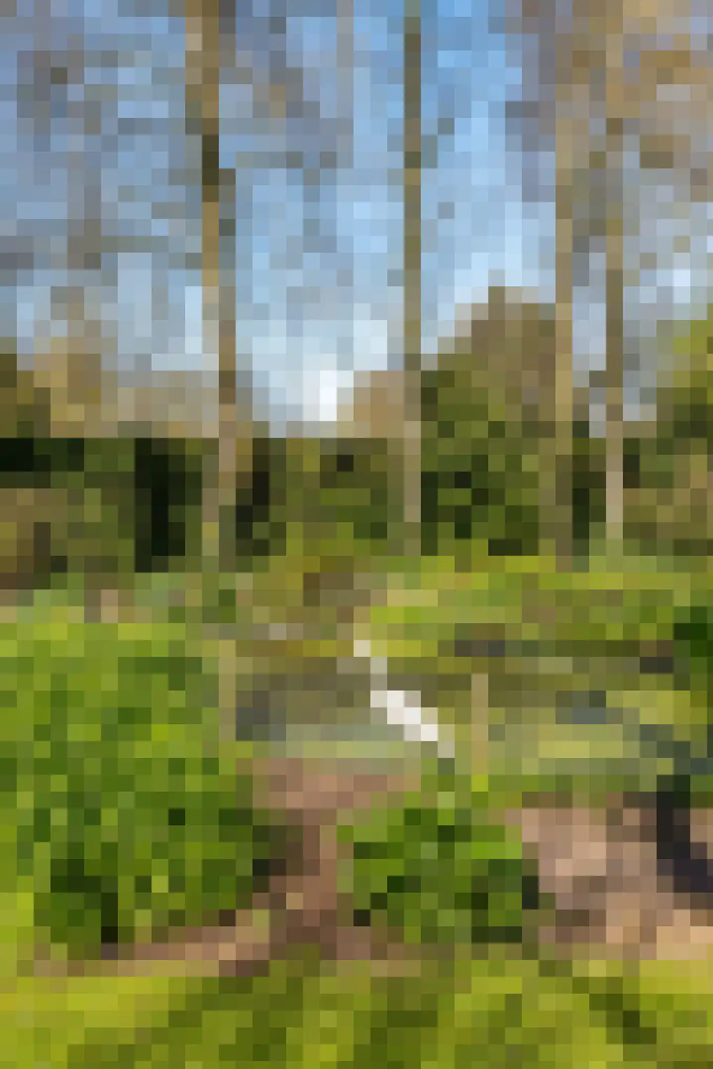 Rondeweg 2 's-Hertogenbosch thumbnail 50