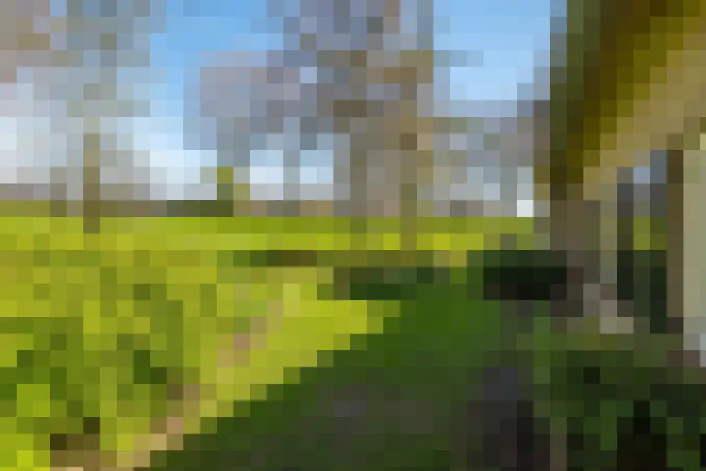 Rondeweg 2 's-Hertogenbosch thumbnail 52