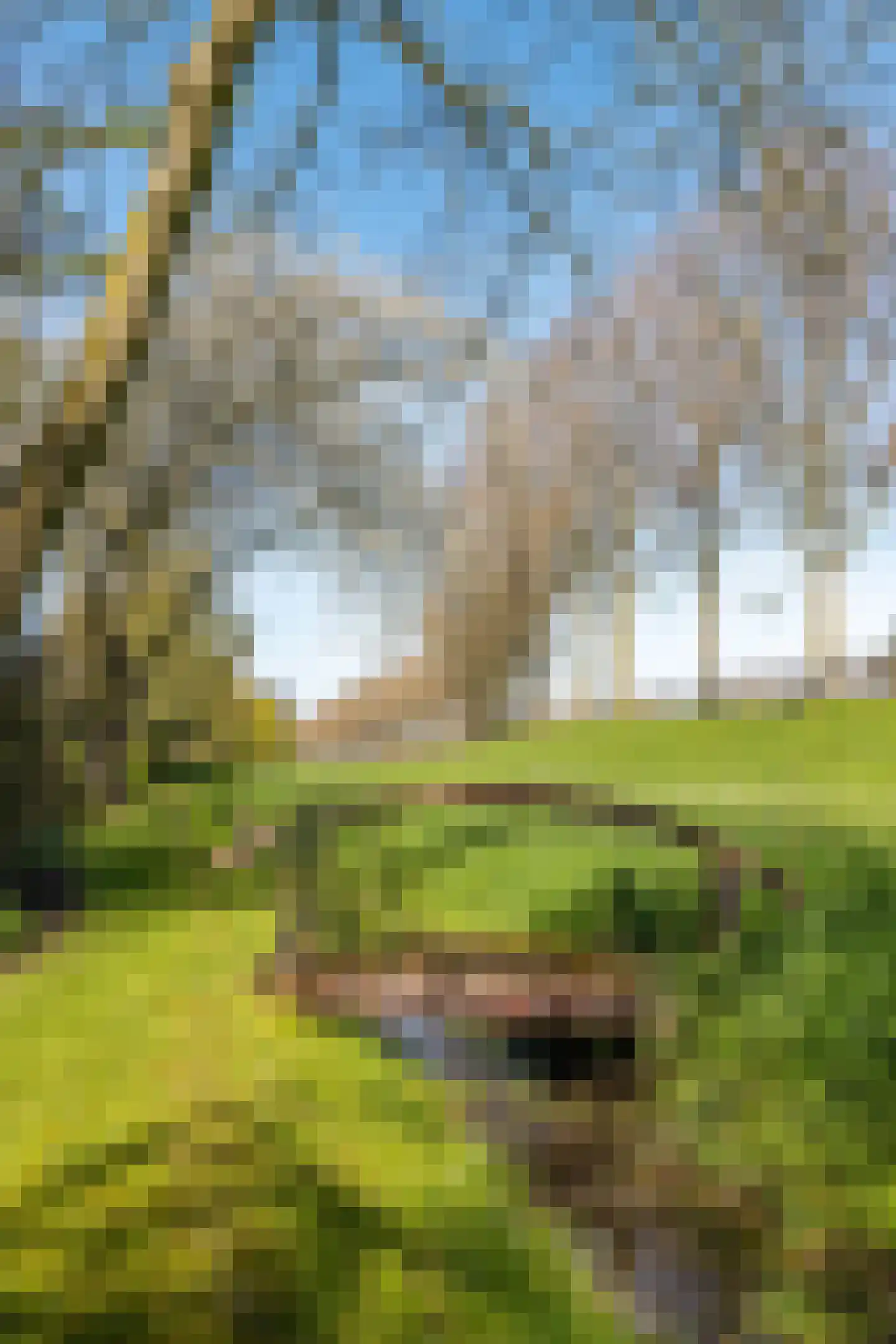 Rondeweg 2 's-Hertogenbosch thumbnail 53