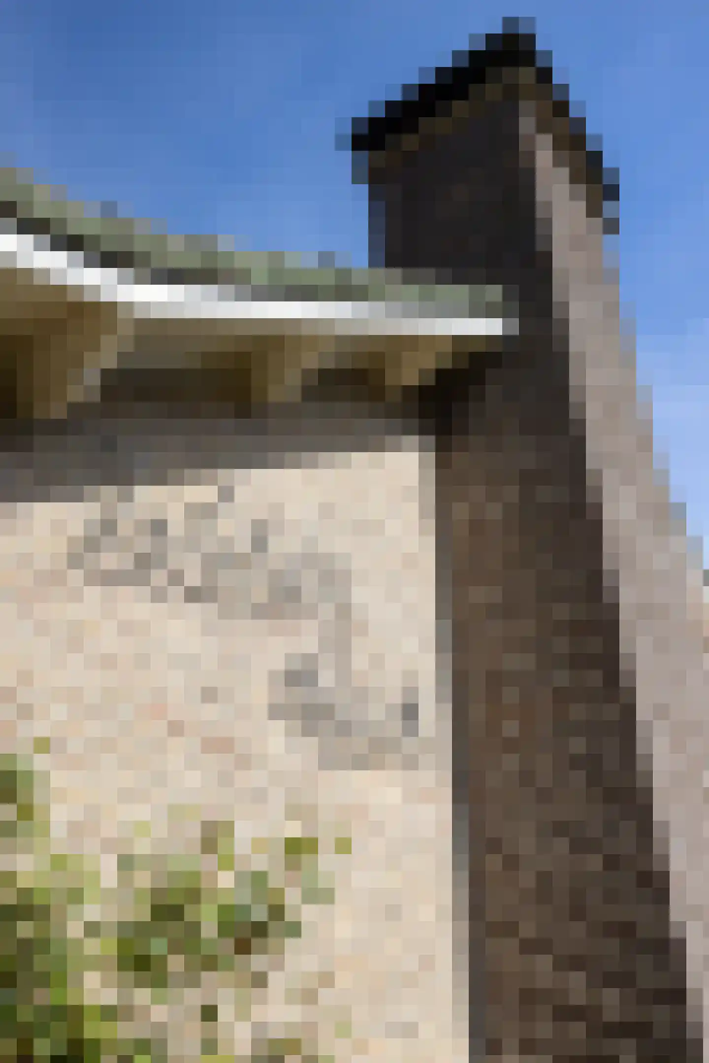 Rondeweg 2 's-Hertogenbosch thumbnail 56
