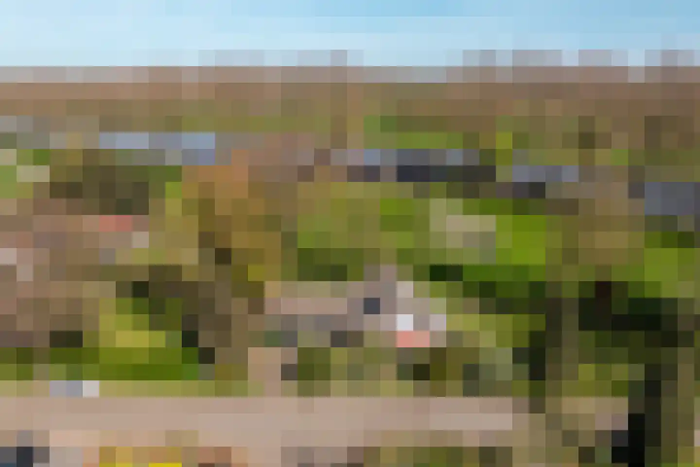 Rondeweg 2 's-Hertogenbosch thumbnail 60