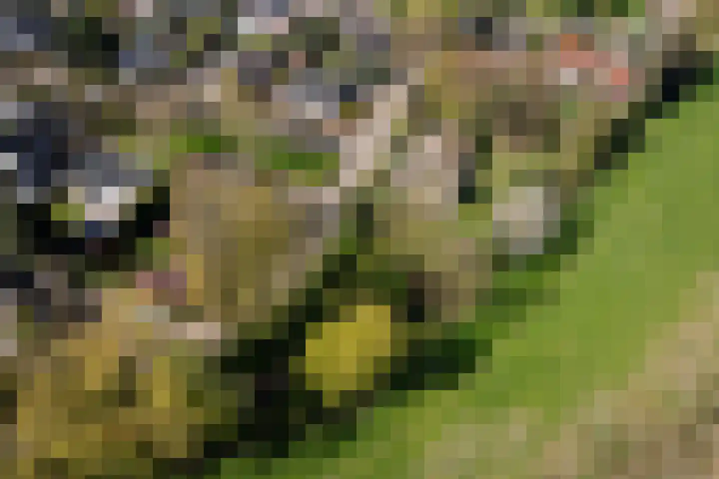 Rondeweg 2 's-Hertogenbosch thumbnail 61