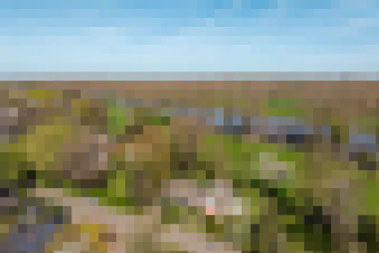 Rondeweg 2 's-Hertogenbosch thumbnail 66