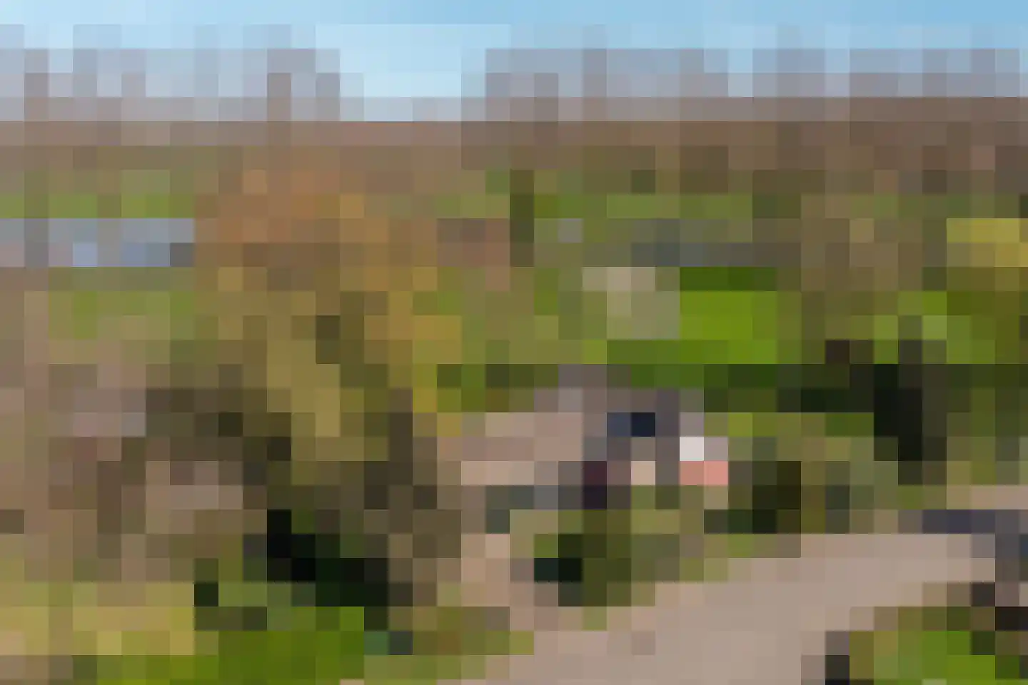 Rondeweg 2 's-Hertogenbosch thumbnail 68