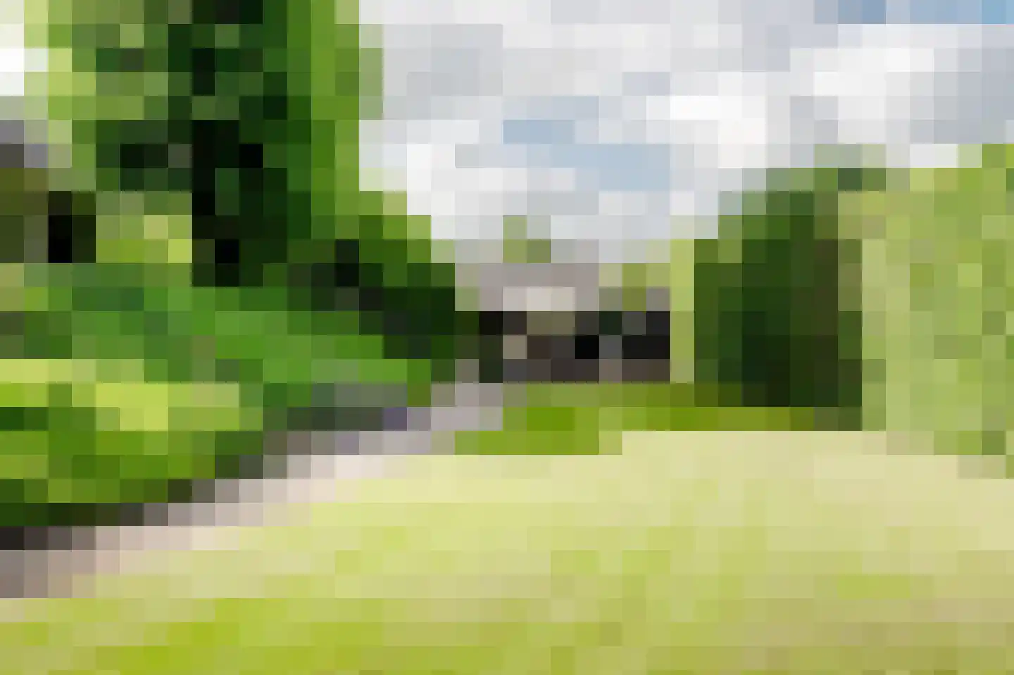 Rondeweg 30 IJsselmuiden thumbnail 24