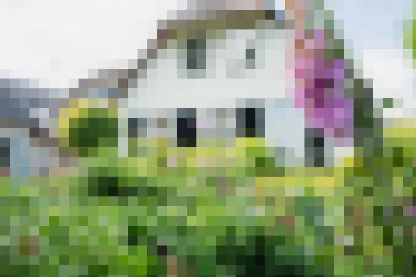 Rondeweg 30 IJsselmuiden thumbnail 26