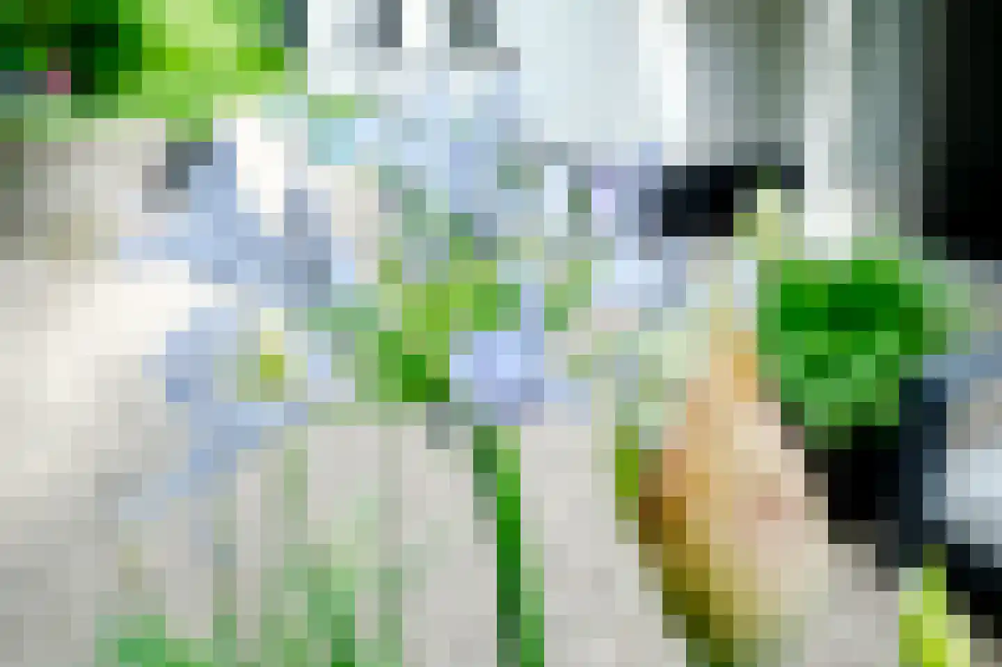 Rondeweg 30 IJsselmuiden thumbnail 37