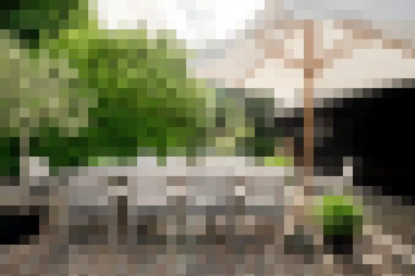 Rondeweg 30 IJsselmuiden thumbnail 39