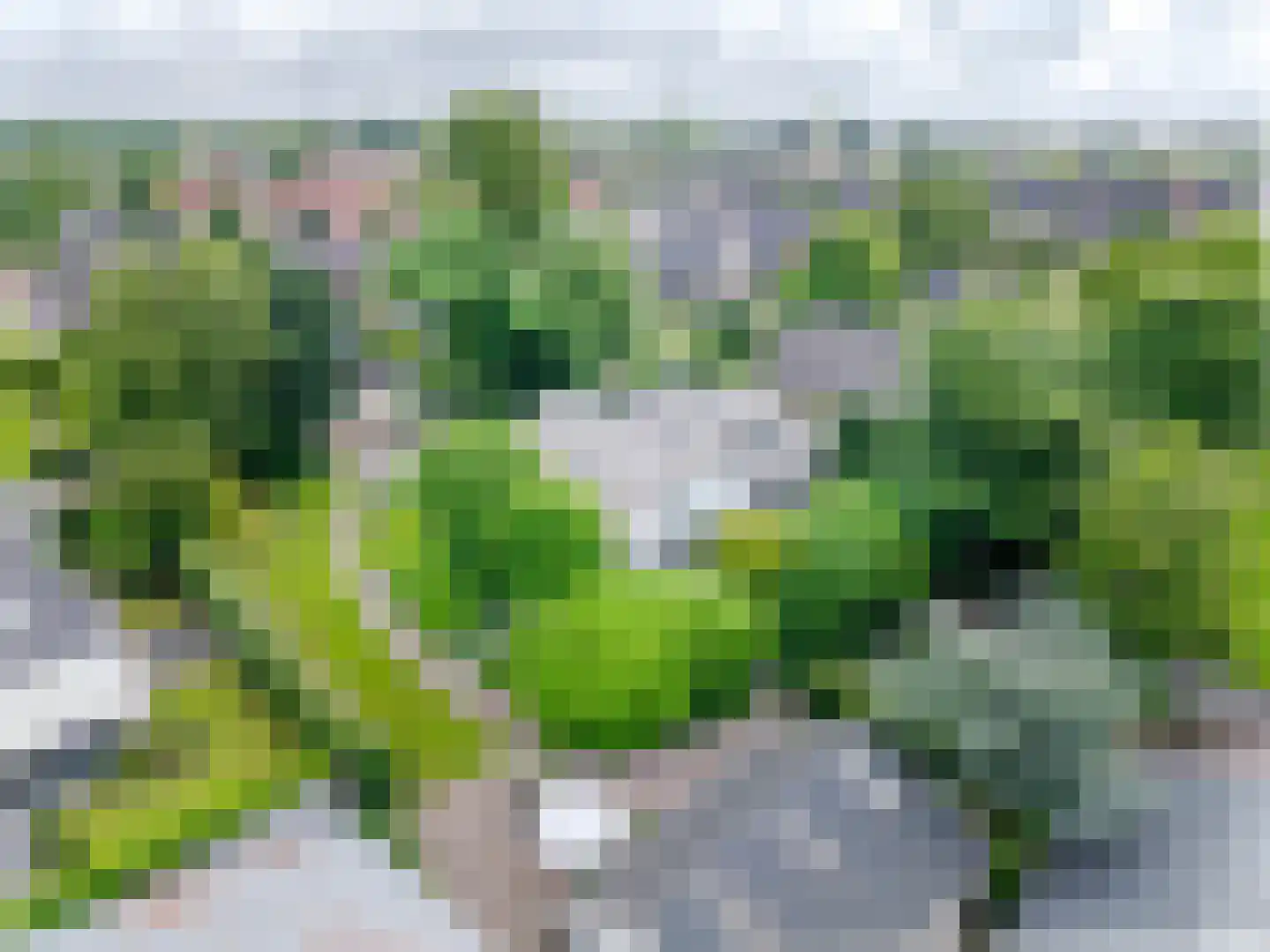Rondeweg 30 IJsselmuiden thumbnail 52