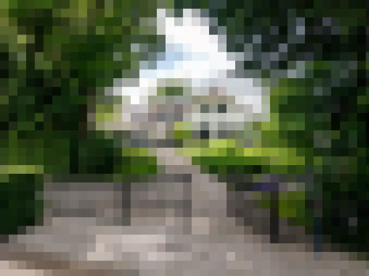 Rondeweg 30 IJsselmuiden thumbnail 6