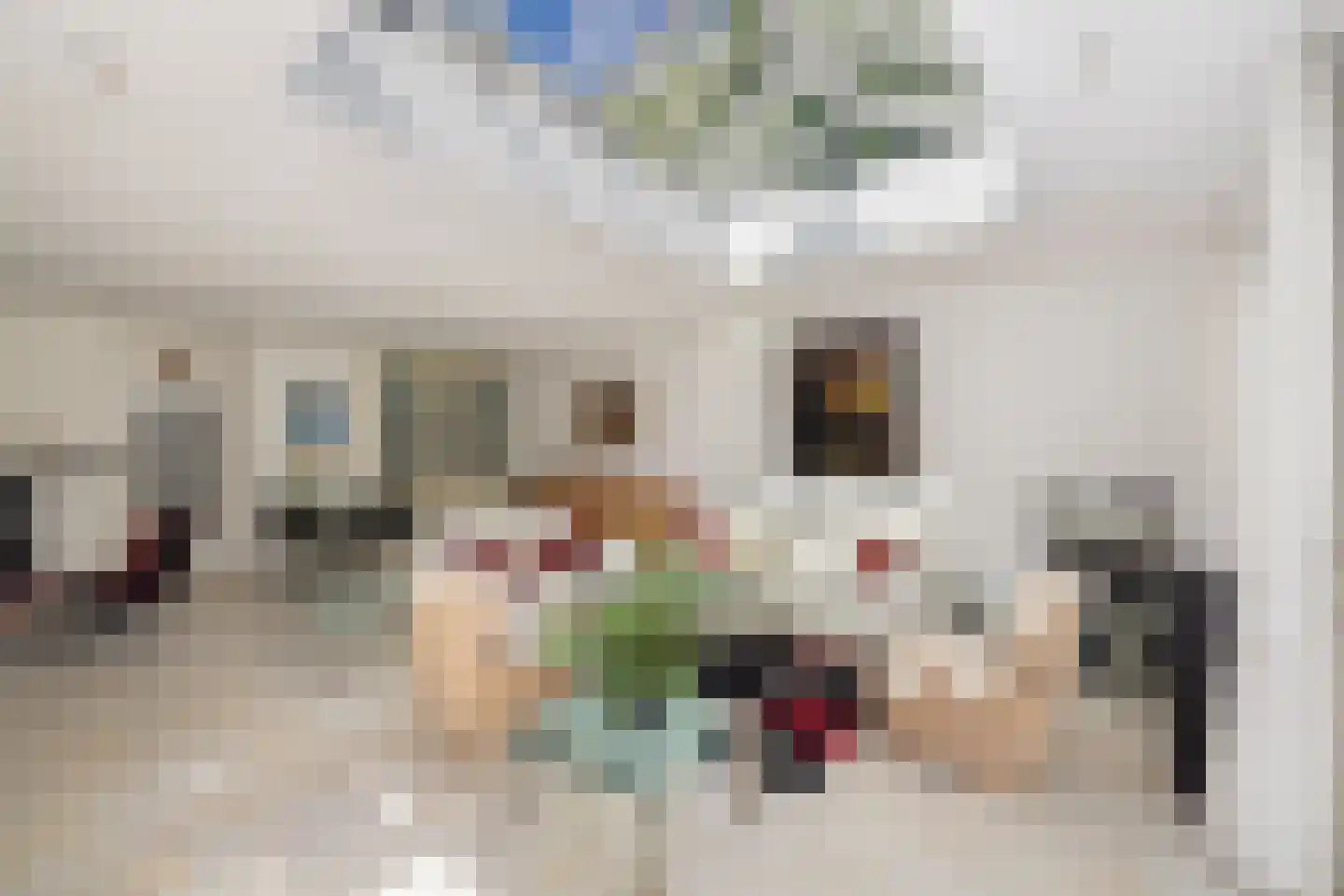 Rondeweg 4 's-Hertogenbosch thumbnail 10