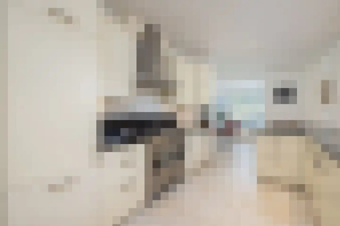 Rondeweg 4 's-Hertogenbosch thumbnail 17