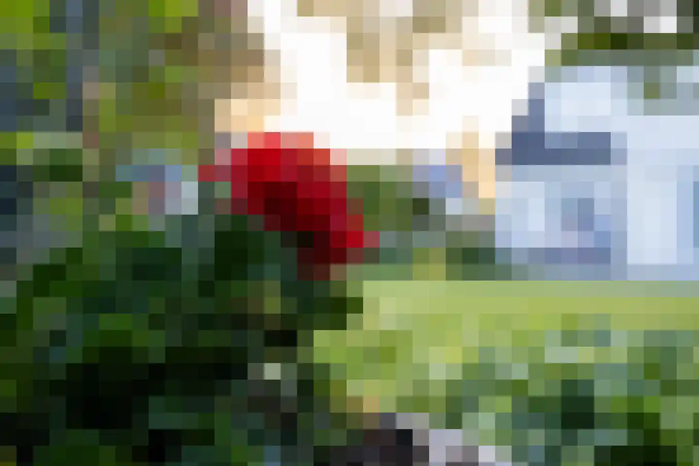 Rondeweg 4 's-Hertogenbosch thumbnail 49