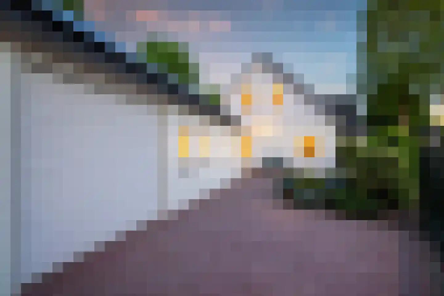 Rondeweg 4 's-Hertogenbosch thumbnail 53