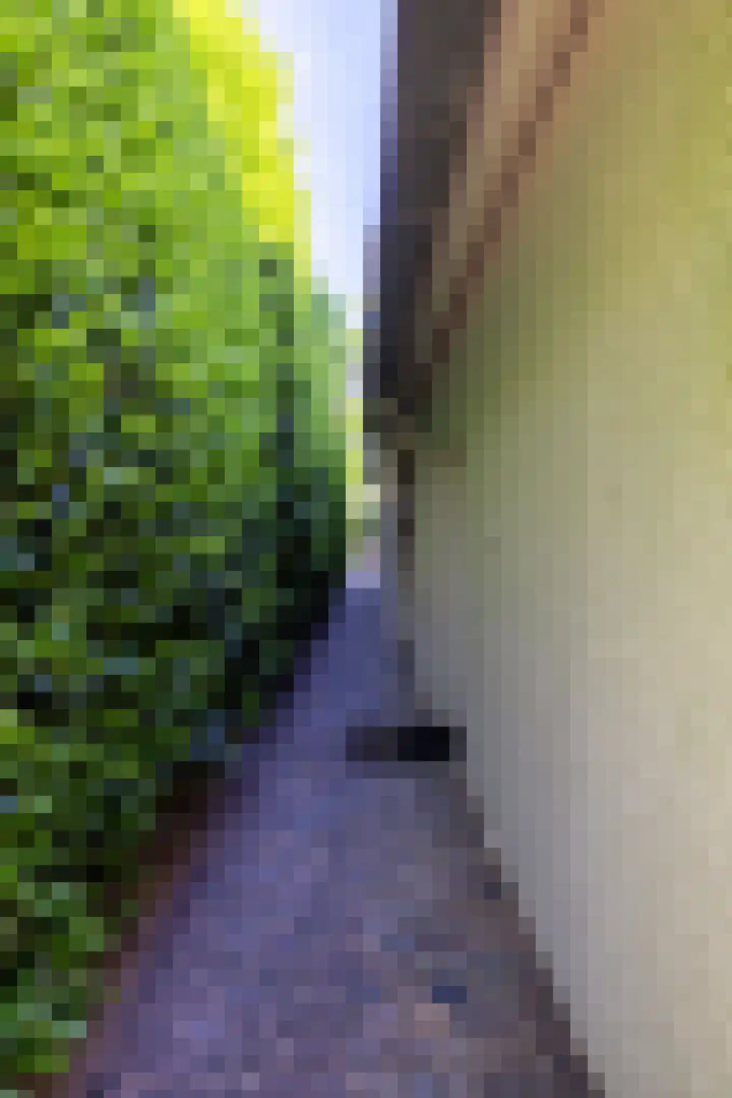 Rondeweg 4 's-Hertogenbosch thumbnail 54