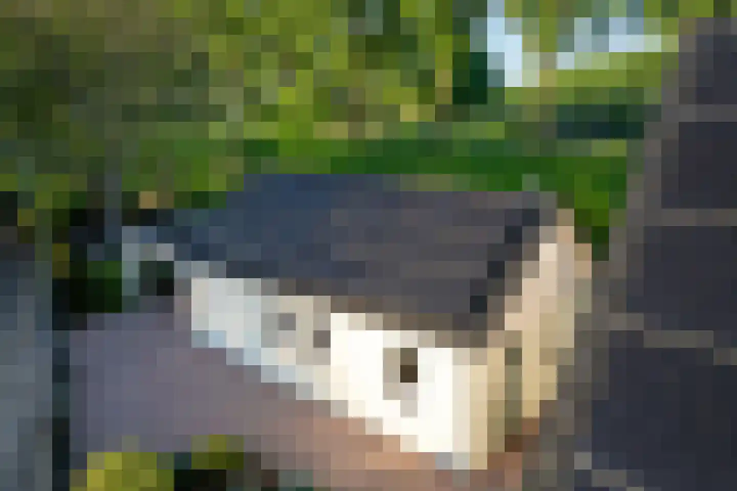 Rondeweg 4 's-Hertogenbosch thumbnail 55
