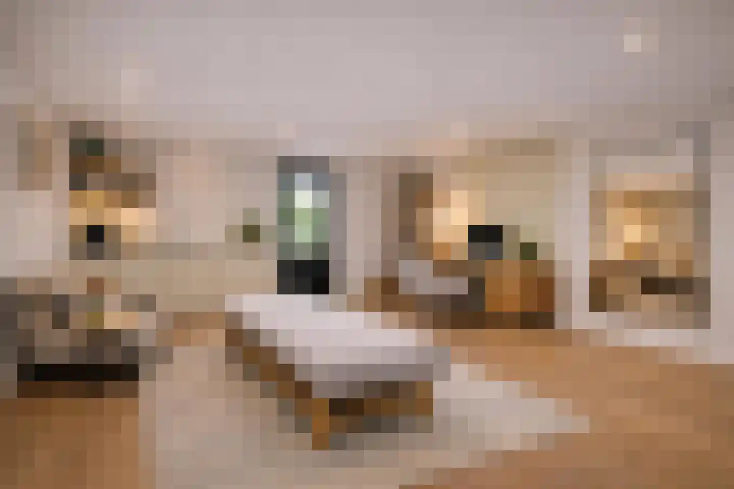 Rondeweg 4 's-Hertogenbosch thumbnail 56