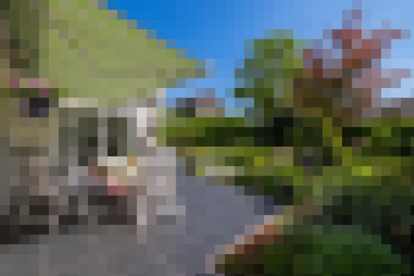 Rondeweg 4 's-Hertogenbosch thumbnail 6