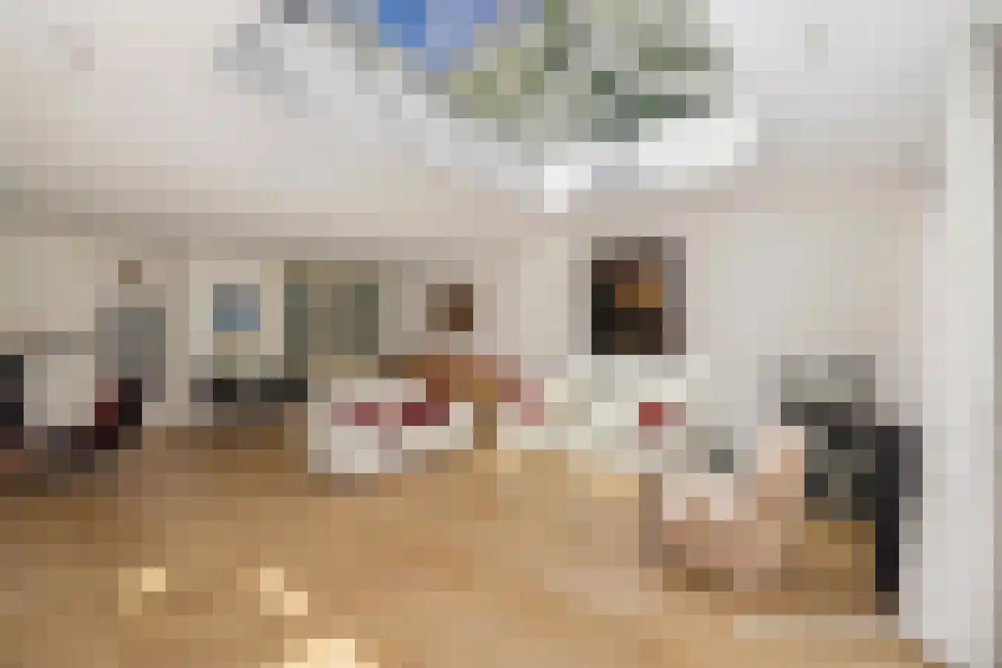 Rondeweg 4 's-Hertogenbosch thumbnail 8