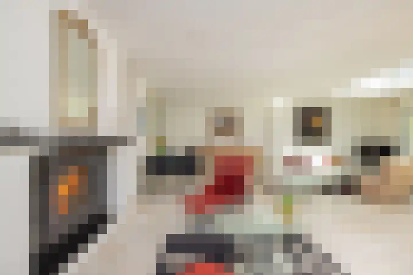 Rondeweg 4 's-Hertogenbosch thumbnail 8