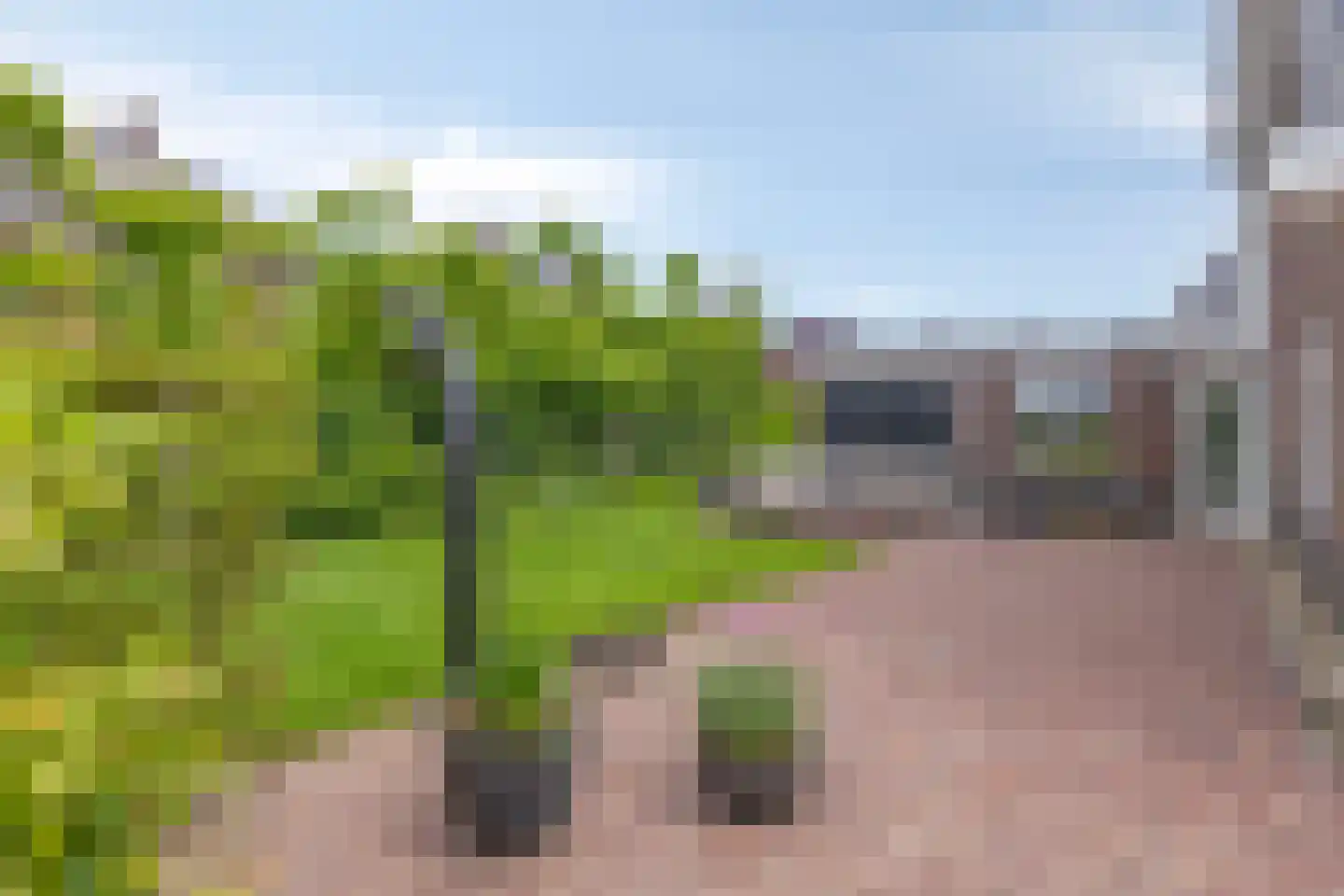 Rondeweg 45 A IJsselmuiden thumbnail 58