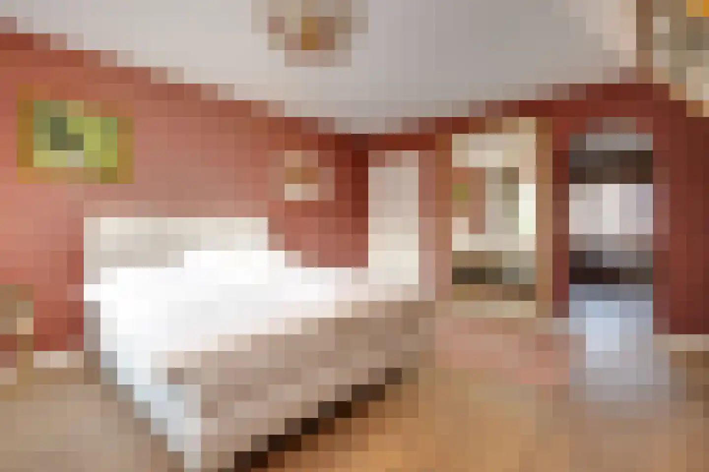 Rondeweg 7 Vught thumbnail 22