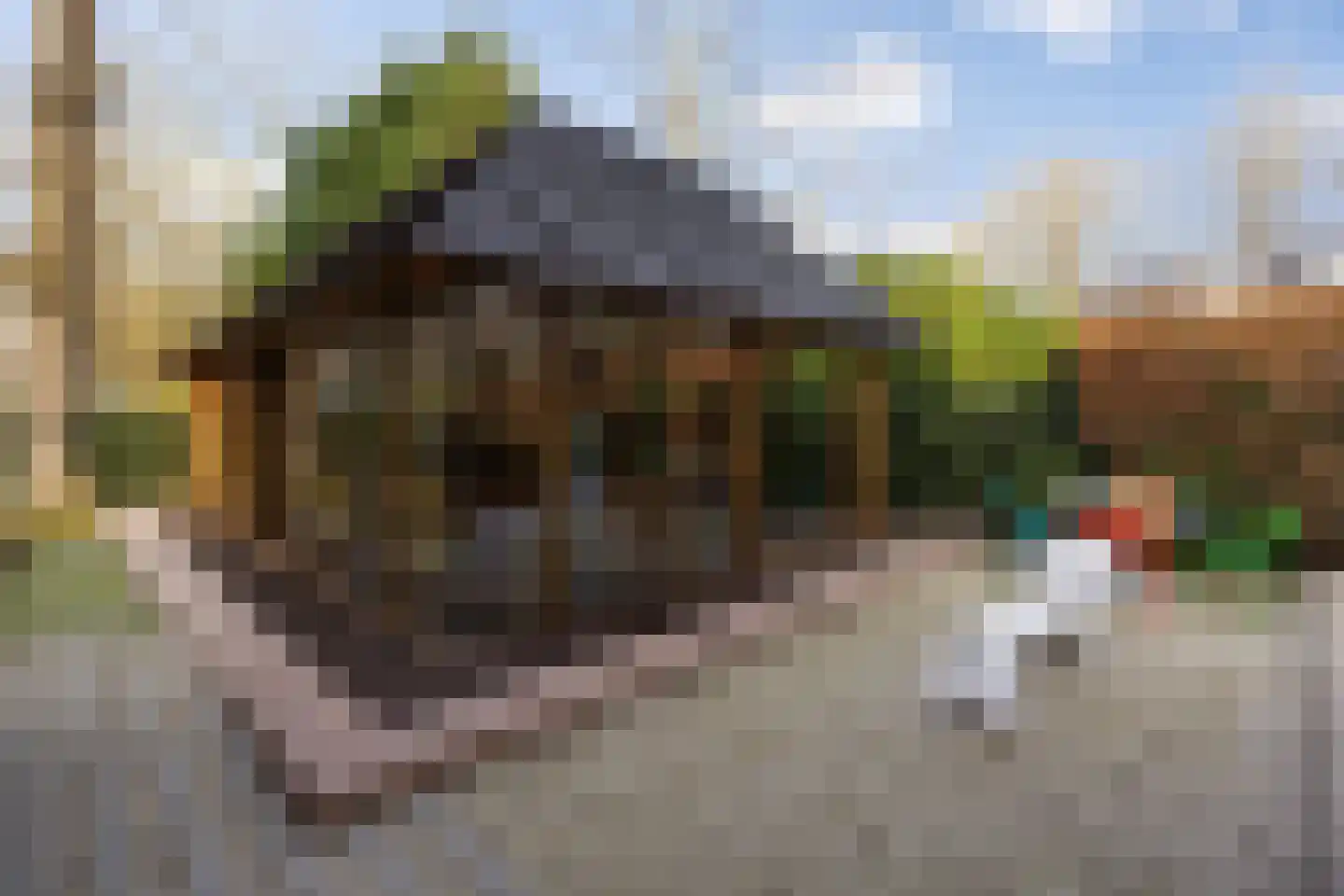 Rondeweg 7 Vught thumbnail 38