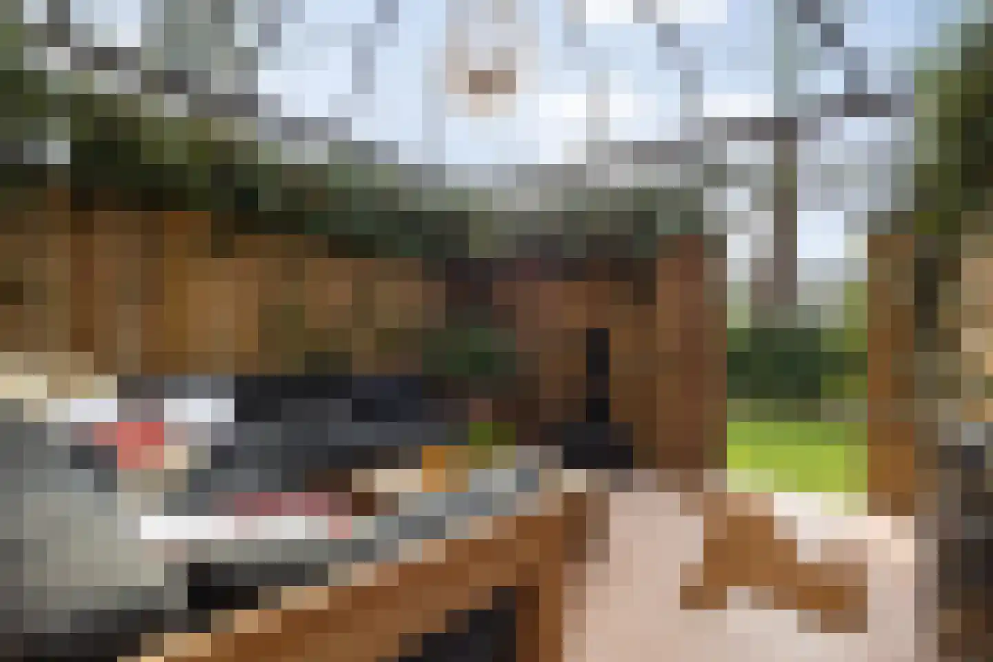 Rondeweg 7 Vught thumbnail 50