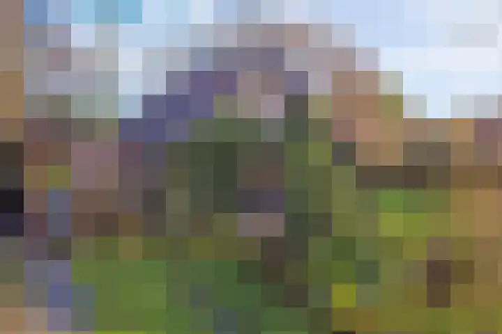 Rondeweiweg 18 Rockanje thumbnail 35