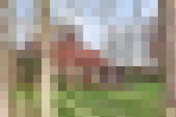 Rondeweiweg 18 Rockanje thumbnail 36