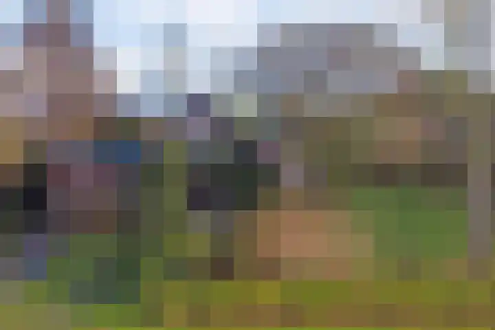 Rondeweiweg 18 Rockanje thumbnail 4