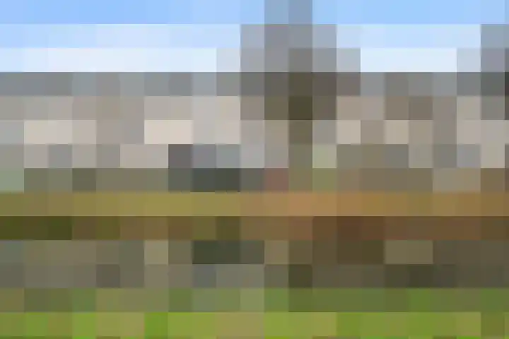 Rondist 20 Rhoon