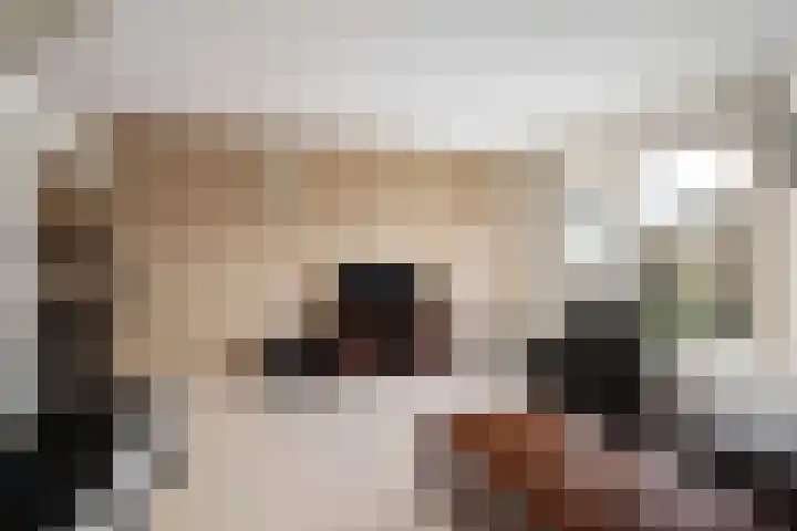 Rondist 20 Rhoon thumbnail 11