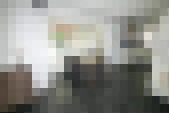 Rondo 101 Sliedrecht thumbnail 11