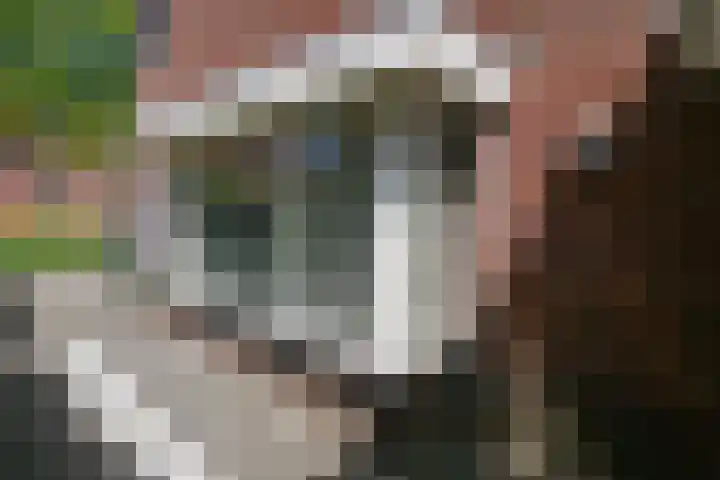 Rondo 101 Sliedrecht thumbnail 33