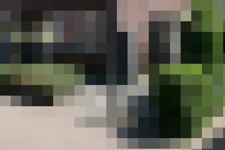 Rondo 101 Sliedrecht thumbnail 34