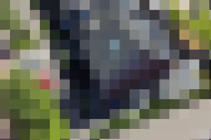 Rondo 101 Sliedrecht thumbnail 35