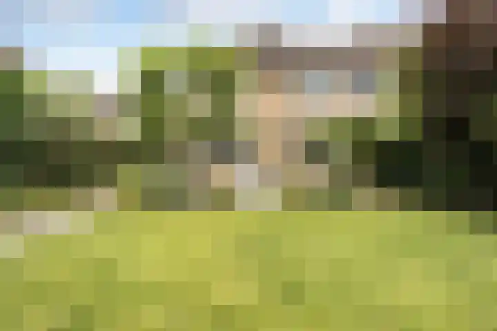 Rondo 108 Krimpen aan den IJssel thumbnail 26