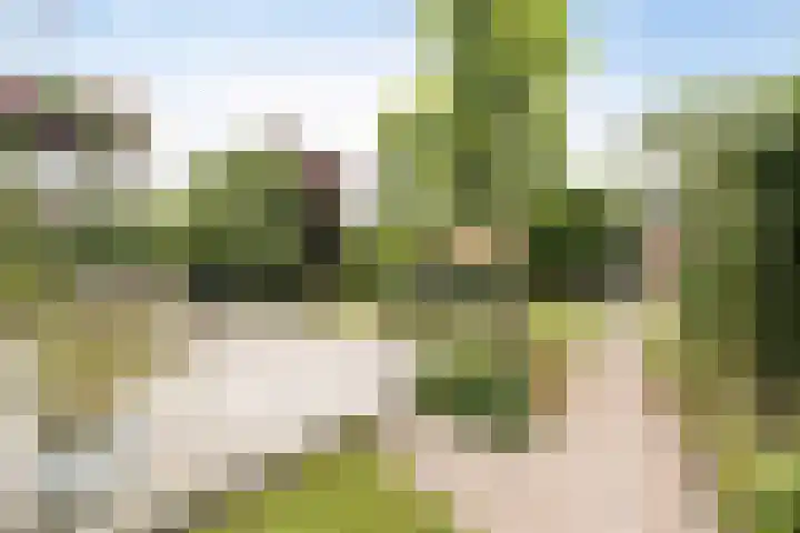 Rondo 108 Krimpen aan den IJssel thumbnail 30