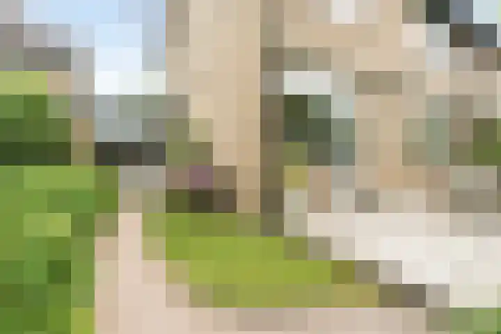 Rondo 108 Krimpen aan den IJssel thumbnail 31
