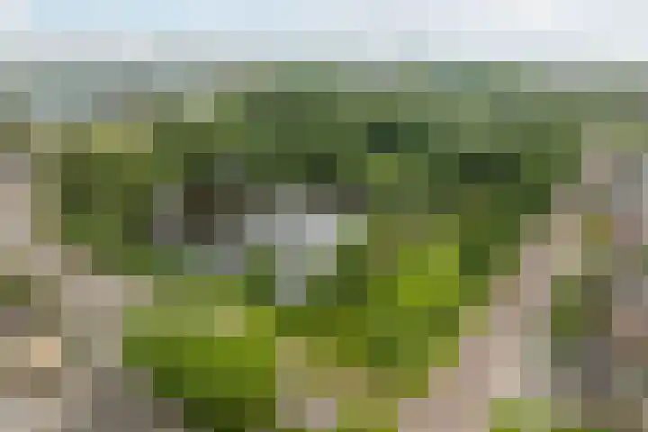 Rondo 108 Krimpen aan den IJssel thumbnail 37