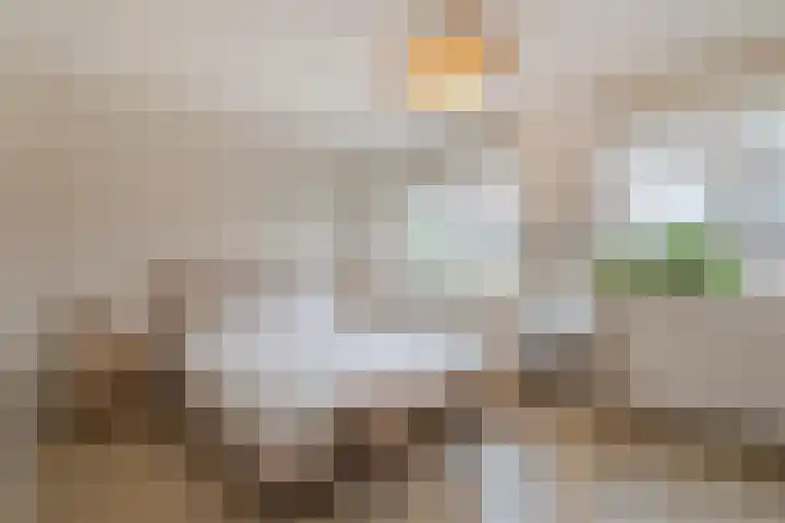 Rondo 125 Sliedrecht thumbnail 20